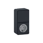 Schneider Electric Merten - Combinatie schakelaar/wcd Mur36024