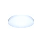 Steinel - P-serie Plafond-/wandarmatuur Rs Pro Led P2 Sl Fl M Ww