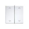 Miniatuur 1