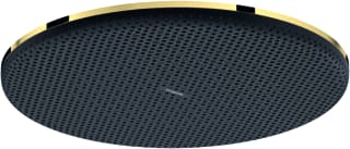 Hansgrohe - Raindance Alive S Douchekop rd al/s hoofdd es+ pgo