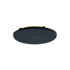 Hansgrohe - Raindance Alive S Douchekop rd al/s hoofdd es+ pgo