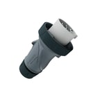 Mennekes - CEE-contactstop contstp 16a 4p >50v ip69