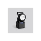 RZB - Noodverlichtingsarmatuur 672317.003