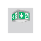 RZB - Signcube IP54 Noodverlichtingsarmatuur 672338.004.07
