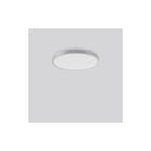 RZB - Triona Plafond-/wandarmatuur  312296.004.1.730