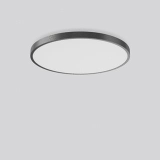RZB - Triona Plafond-/wandarmatuur 312300.0031.76