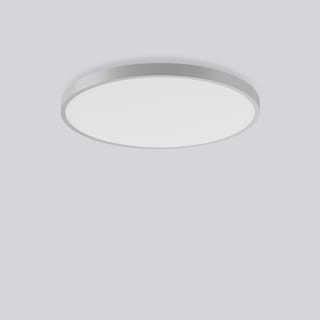 RZB - Triona Plafond-/wandarmatuur  312300.004.1.76