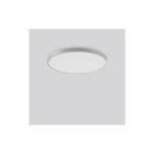 RZB - Triona Plafond-/wandarmatuur  312300.004.1.76
