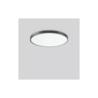 RZB - Triona Plafond-/wandarmatuur 312388.0031.2.730