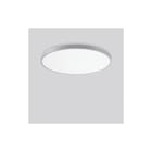 RZB - Triona Plafond-/wandarmatuur  312391.004.1.730