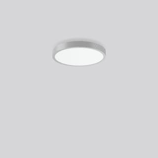 RZB - Triona Plafond-/wandarmatuur  312419.004.1.76
