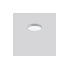 RZB - Triona Plafond-/wandarmatuur 312419.004.1.76