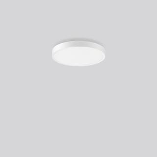 RZB - Triona Plafond-/wandarmatuur 312423.002.2.76