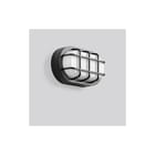 RZB - Alu-Lux Oval Plafond-/wandarmatuur  582064.0031