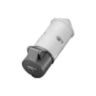 Mennekes - CEE-koppelcontactstop Cee Koppcontst 2P 16A 42V
