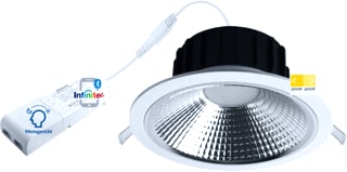 Megaman - Downlight/spot/schijnwerper Infinite Milena 200Mm