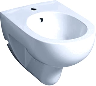 Geberit - RENOVA Bidet bdt 55cm tect/wt