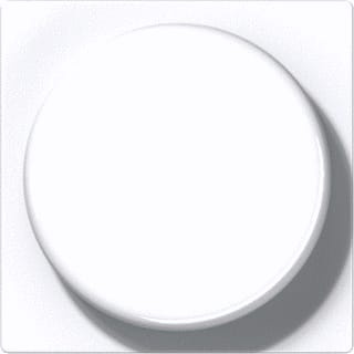 Jung - A RANGE Bed.element / centr.pl. schakelmat. A528Plswm