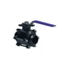 Miniatuur 1