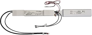 Sylvania - Noodunit voor verlichtingsarmatuur Lsf Empk Mt 6-54 3W3H Rc