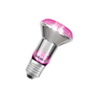 Ledvance - LED-lamp osr grow spot 7.5w r63 e27