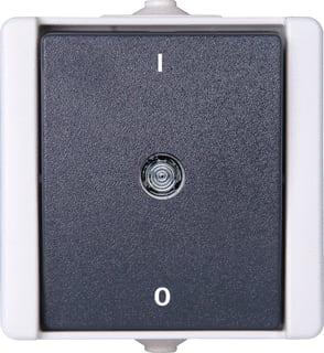 Kopp - ProAQA Installatieschakelaar Schakelaar 2P Ip44 Grs
