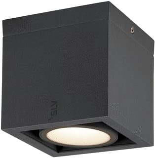 SLV - Eskina Plafond-/wandarmatuur Frame Cl Single Ceiling-Mo