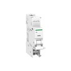 Schneider Electric - Nevenapparaat modulair Minimumspanssp - 24Vac/24Dc