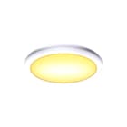 SLV - Plafond-/wandarmatuur ruba 10 wandlamp wit 3/4k