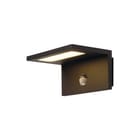 SLV - Angolux Plafond-/wandarmatuur Sensor Wandlamp Antr 3K