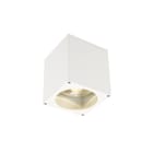 SLV - Big Theo Plafond-/wandarmatuur Out Wit 1Xgu10