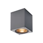 SLV - Plafond-/wandarmatuur big theo wall zil 3k