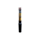 TKF - INT-Instrumentatiekabel RE-2X(st)YSWBY PiMF Dca Data- en communicatiekabel Re-2Xstyswby 2X2X1,3 Zw Mt