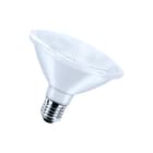 Bailey - LED-lamp Led Par30 E27 Dim 13W 830