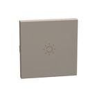 Bticino - Bed.element / centr.pl. schakelmat. bedelem btyg4916am2