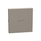 Bticino - Bed.element / centr.pl. schakelmat. bedelem btyg4916fm2