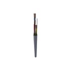 TKF - Data- en communicatiekabel JHSTH B2CA 1X2X1+0,8 RO MT