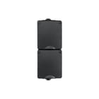 ION INDUSTRIES - Wandcontactdoos (WCD schakelmat.) opb wcd 2-v vert ip55 zw
