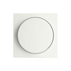 ION INDUSTRIES - Afdekraam schakelmateriaal Centrpl Dimmkn Enkelv Alpw