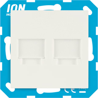 ION INDUSTRIES - Inzetplaat schakelmateriaal modu jack 2-v+centrpl alpw