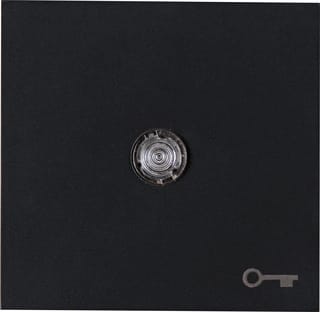 Kopp - Bed.element / centr.pl. schakelmat. hk07-wip enkl+lns sym slt