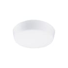 RZB - Lichtt. toebeh.v verlichtingsarm. reserveglas r40 315 en 355
