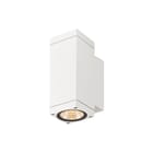 SLV - Theo Plafond-/wandarmatuur plfwndarm 1010184