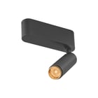 SLV - GRIP! Plafond-/wandarmatuur plfwndarm 1009038