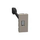 Bticino - Datacontactdoos twisted pair datacntds btyg4285p