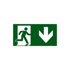 Van Lien - Movion Pictogram noodverlichting Pictofolie Vlucht Beneden