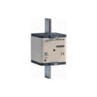 EATON INDUSTRIES - Din 3 Smeltpatroon (mes) mespatr 500 p5gg500-3 traag