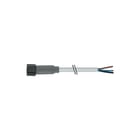 MURR - Connection technology F&B Sensor/actorkabel met connector m8 fem f&b pvc 3x0.25 25m