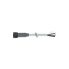 MURR - Connection technology F&B Sensor/actorkabel met connector m8 fem 0 kab f<(>&<)>b pv