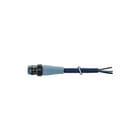 MURR - Connection technology F&B Sensor/actorkabel met connector m12 male 0 kab f&b pro